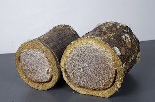 Kütük Karakovan