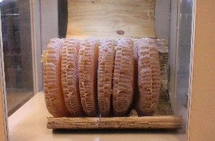 Kütük Karakovan
