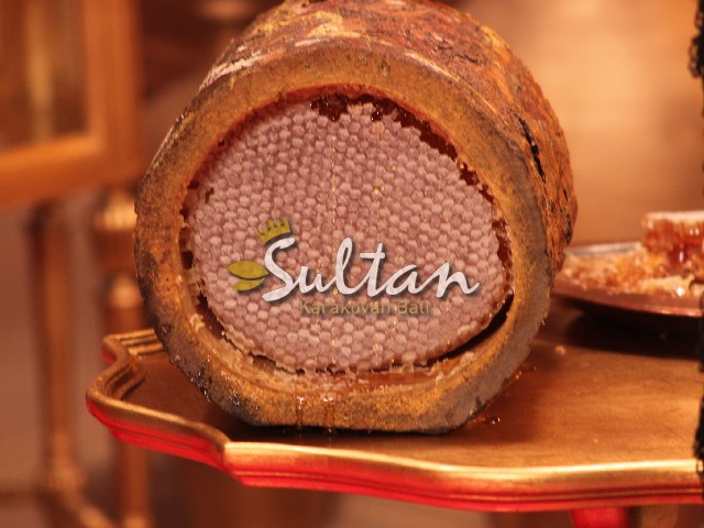 Sultan Bal