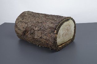 Kütük Karakovan