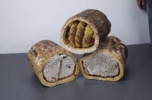 Kütük Karakovan