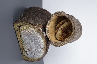 Kütük Karakovan
