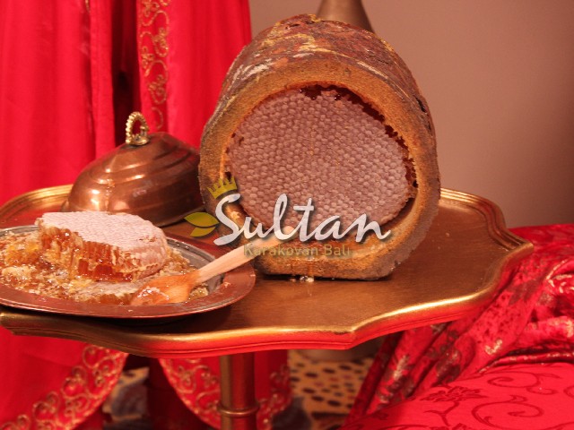 Sultan Bal