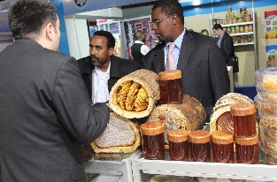 Kütük Karakovan