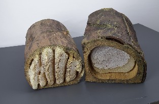 Kütük Karakovan