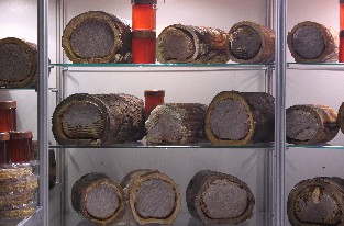 Kütük Karakovan