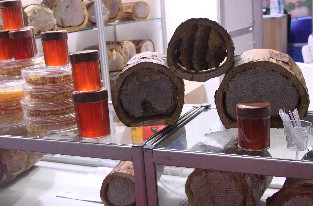 Kütük Karakovan